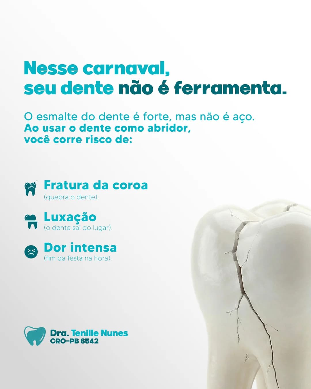 Galeria #6